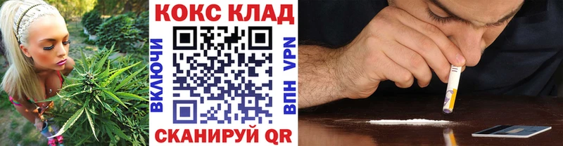 hydra ТОР  даркнет какой сайт  COCAIN Fish Scale  Сургут 