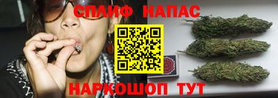прущие грибы Коммунар