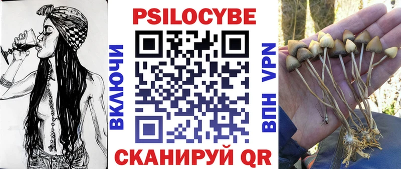 Псилоцибиновые грибы прущие грибы  Сургут 