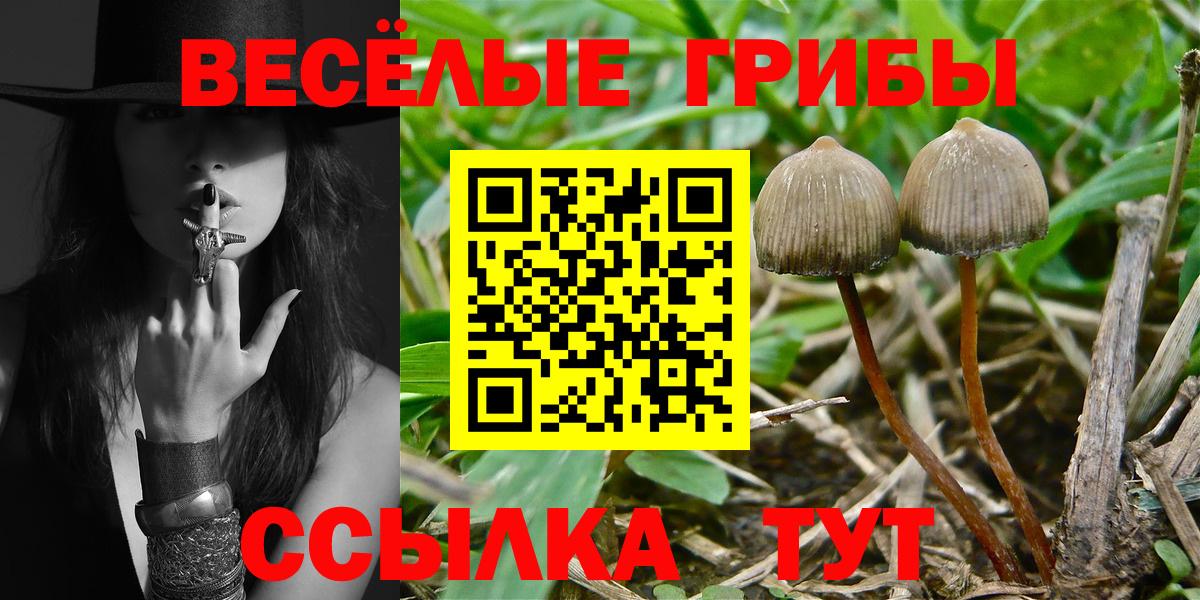 Галлюциногенные грибы GOLDEN TEACHER  Псилоцибиновые грибы Psilocybe  Вход с VPN  купить наркотик  Сургут 
