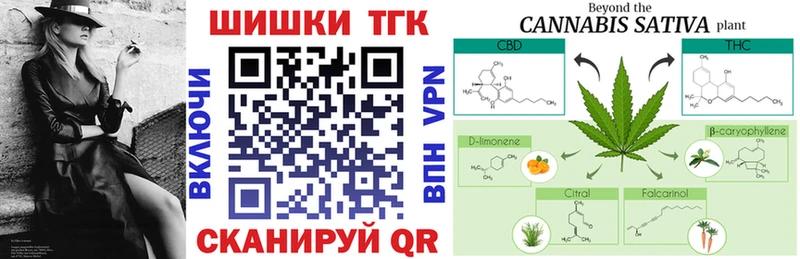 Каннабис план  мориарти официальный сайт  Сургут 